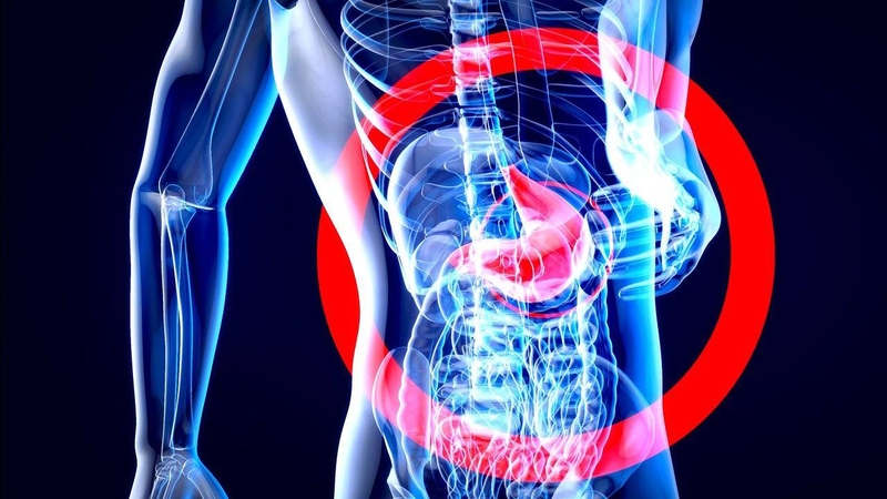 Loại quả này có thể góp phần hỗ trợ điều trị các bệnh liên quan đến gan thận