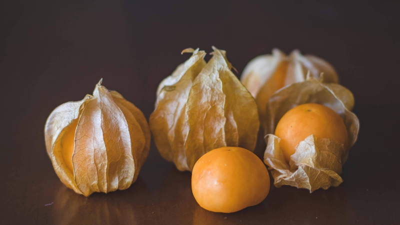 Không dùng cho người có tiền sử dị ứng với bất kỳ thành phần nào của loại quả này