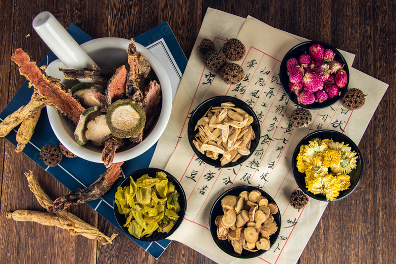 Quả trâu cổ có tác dụng gì? Cách dùng và liều dùng quả trâu cổ 3