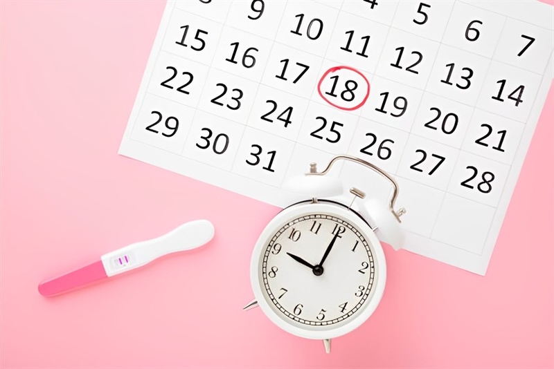 Quá trình rụng trứng diễn ra như thế nào? 4