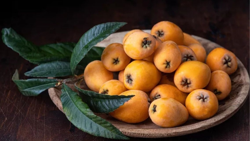 Bổ sung quả tỳ bà hợp lý có thể hỗ trợ tiêu hóa và tăng cường miễn dịch