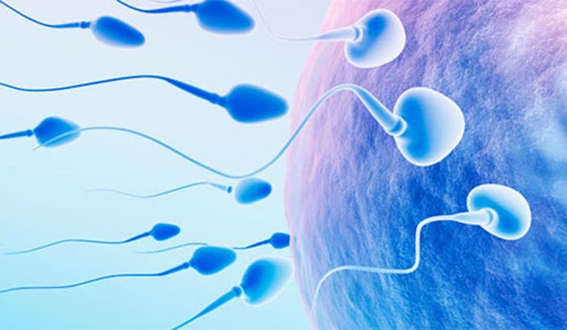 Thực tế, chất nhờn nam giới có chứa tinh trùng