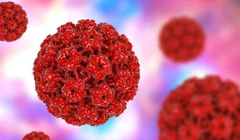 Quan hệ với người nhiễm HPV bao lâu thì bị? Các biện pháp phòng tránh HPV hiệu quả 1