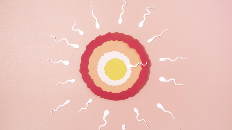 Quan hệ xong 1 ngày sau có kinh có thai không? 1