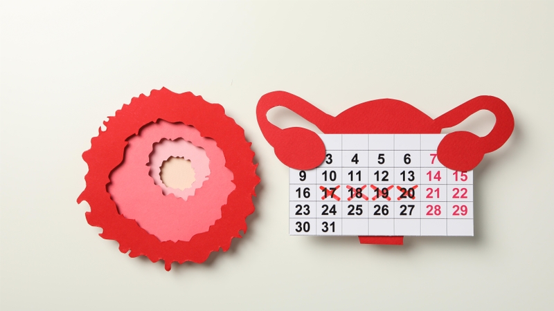 Quan hệ xong 1 ngày sau có kinh có thai không? 4