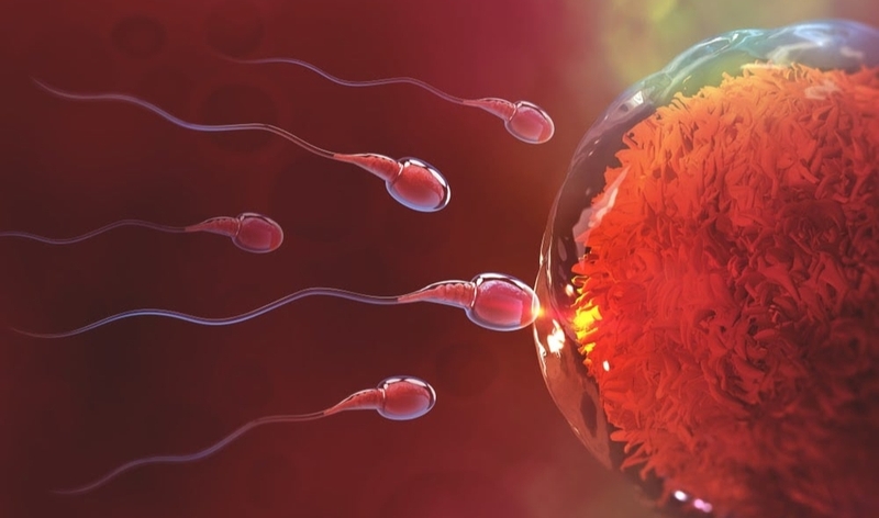 Quan hệ xong tinh trùng trào ra ngoài có thai được không 2