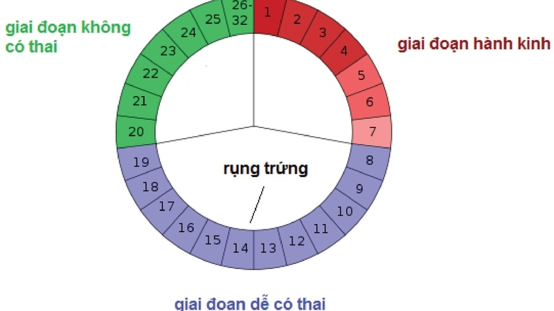 Quan hệ xong vẫn đến tháng có thai không? Hiểu đúng về khả năng thụ thai trong chu kỳ kinh nguyệt 1