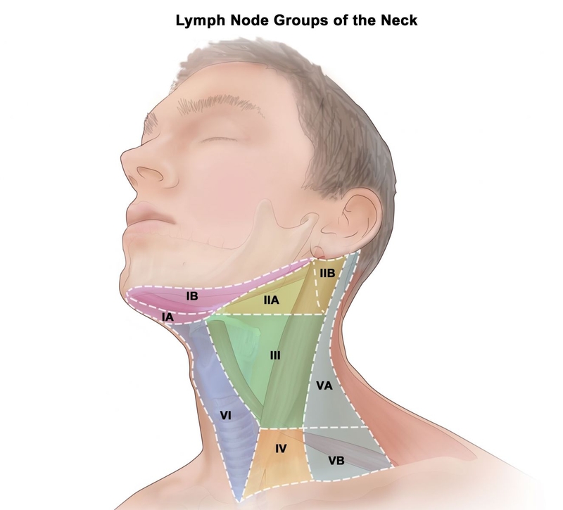 Quang miễn dịch trị liệu: Hướng đi mới trong điều trị ung thư2