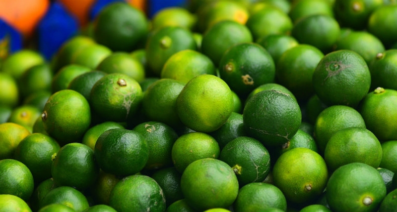 Bật mí 4 cách dùng lá húng chữa ho cho trẻ sơ sinh hiệu quả 4