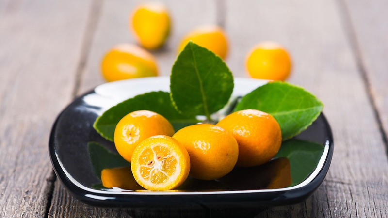 Mỗi bộ phận của cây chứa những hợp chất hoạt tính sinh học khác nhau, mang lại tác dụng sinh lý đặc trưng