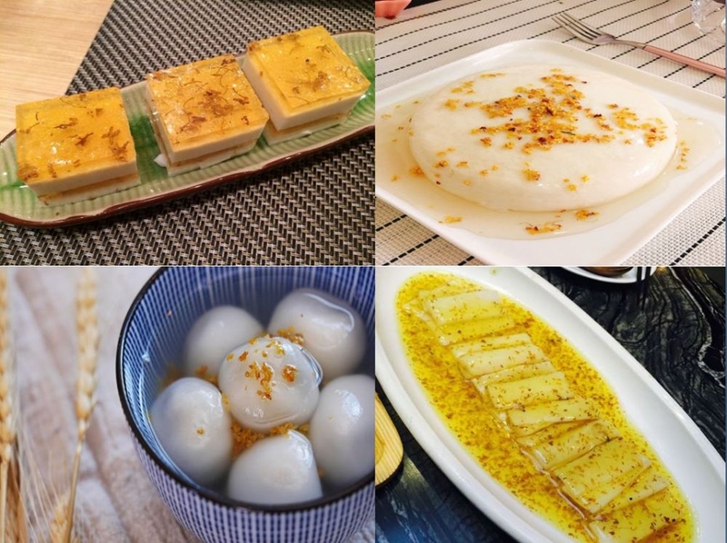 Quế hoa là gì? Vai trò của chúng trong Y học cổ truyền và hiện đại 6