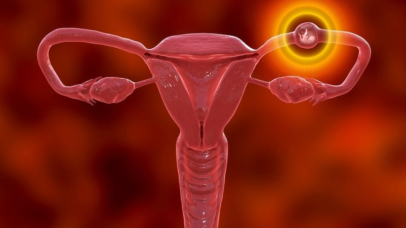 Que thử thai 1 vạch đậm 1 vạch mờ thai đã vào tử cung chưa? 4