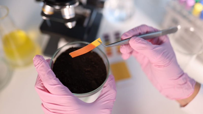 Quỳ tím là chất chỉ thị axit - bazơ dùng để nhận biết dung dịch có tính axit hay kiềm thông qua sự thay đổi màu sắc