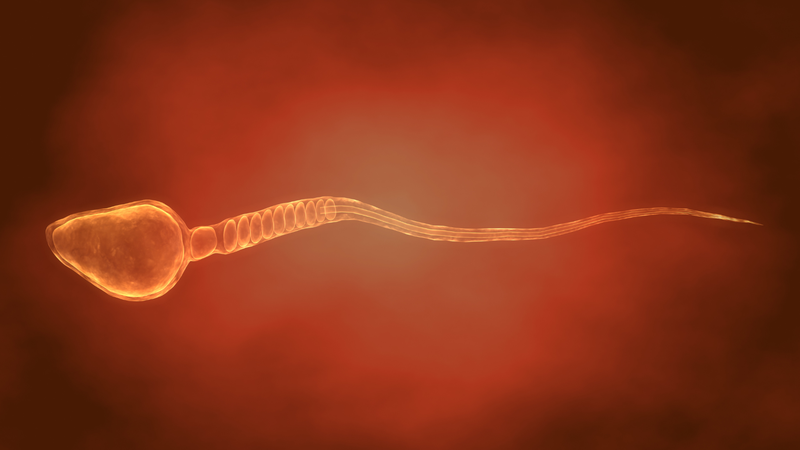 Sau khi thực hiện chọc hút tinh trùng, người bệnh thường được khuyến cáo nghỉ ngơi, hạn chế vận động mạnh