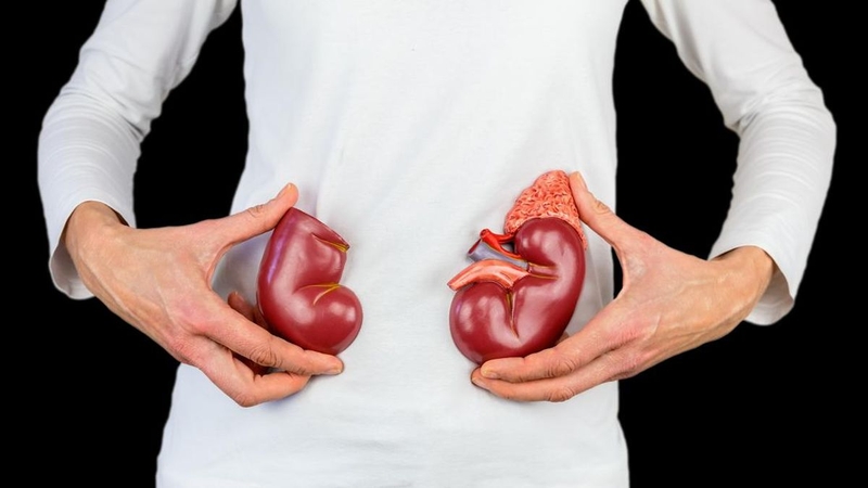 quy trình hiến tạng 1