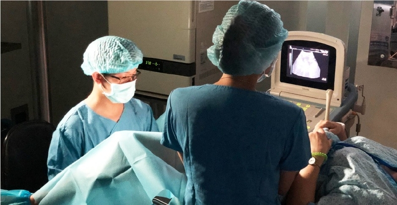 quy-trinh-thu-tinh-ong-nghiem-dien-ra-nhu-the-nao 2.jpg