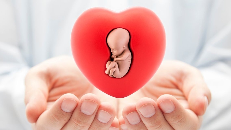 Ra máu sau chuyển phôi có thể xuất phát từ nguyên nhân sinh lý