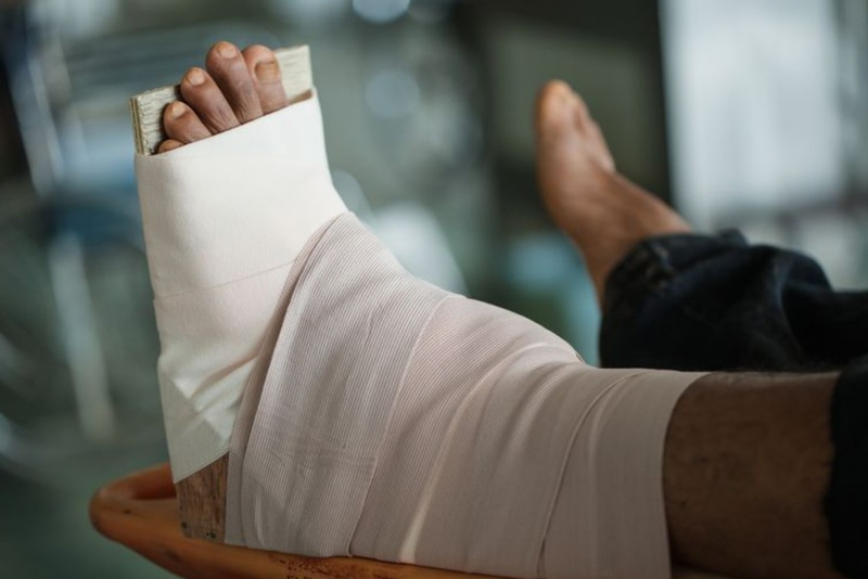 Rắn hổ mèo có độc không và cách sơ cứu khi bị cắn? 3