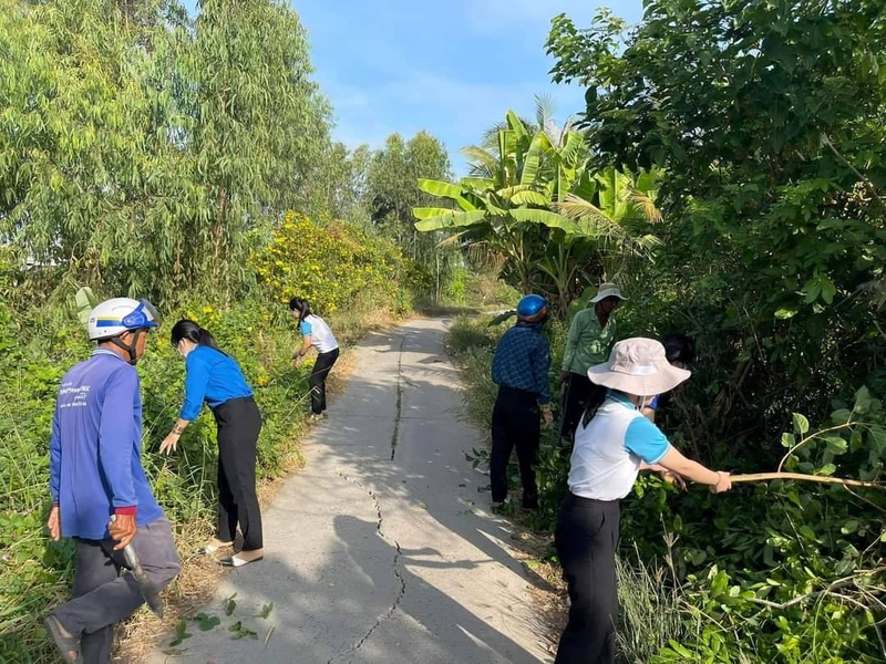 Rắn hổ mèo có độc không và cách sơ cứu khi bị cắn? 4