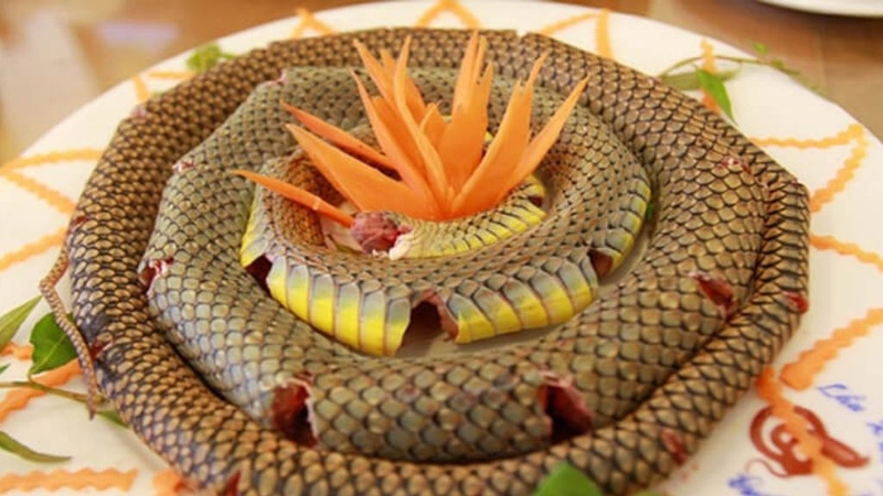 Rắn ri cá có độc không? Những điều cần lưu ý khi ăn thịt rắn! 2