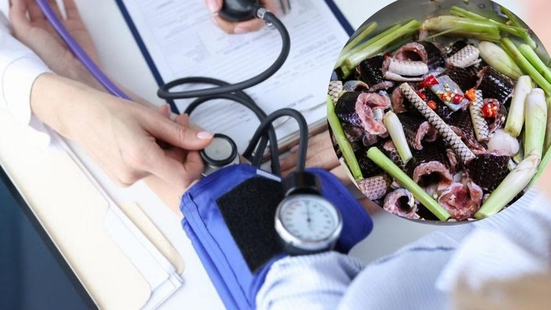 Rắn ri cá có độc không? Những điều cần lưu ý khi ăn thịt rắn! 3