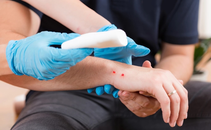 Rắn xanh có độc không? Rắn xanh cắn có sao không? 3