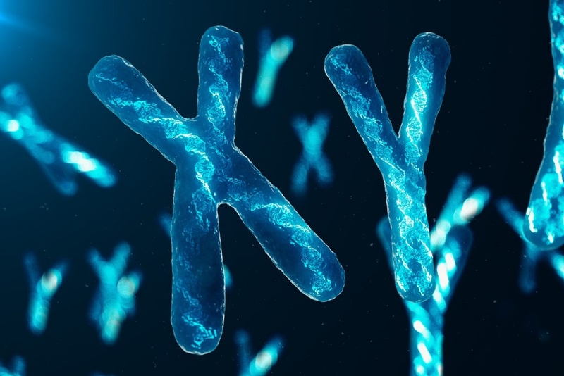 Răng cửa to: Nguyên nhân và những bất lợi mà nó mang lại 3