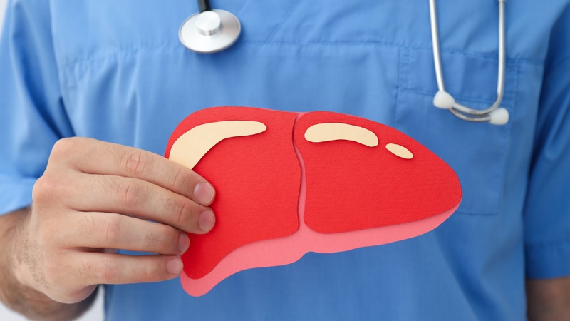 Rau bina chaya ghi nhận có nhiều đặc tính sinh học có lợi, bao gồm khả năng bảo vệ gan