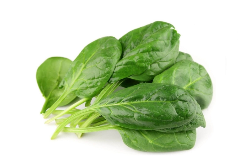 rau bina là rau gì 1