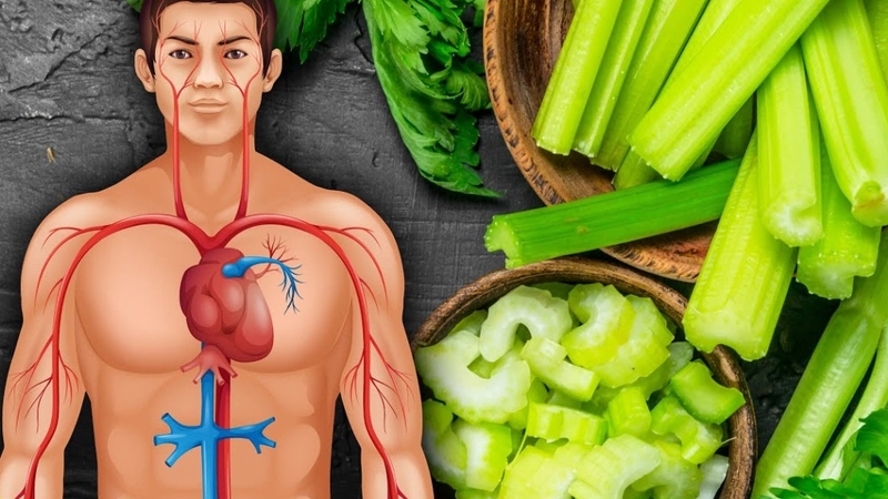 Rau cần tây có tốt cho nam giới không? 7 lợi ích ít ai ngờ đến 2