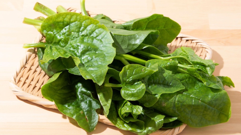 10 loại rau củ quả giải nhiệt cực tốt trong mùa hè oi bức 10