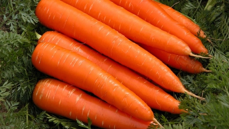 10 loại rau củ quả giải nhiệt cực tốt trong mùa hè oi bức 6