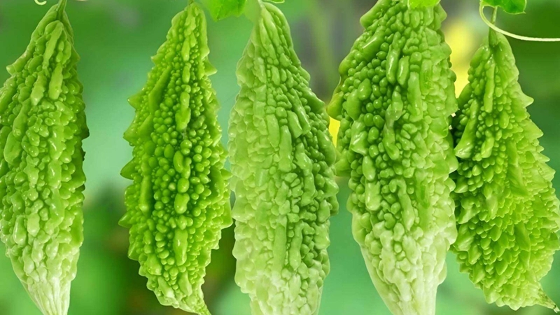 10 loại rau củ quả giải nhiệt cực tốt trong mùa hè oi bức 4