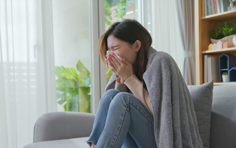 Rau đắng đất trị bệnh gì? Lưu ý khi sử dụng rau đắng đất 2