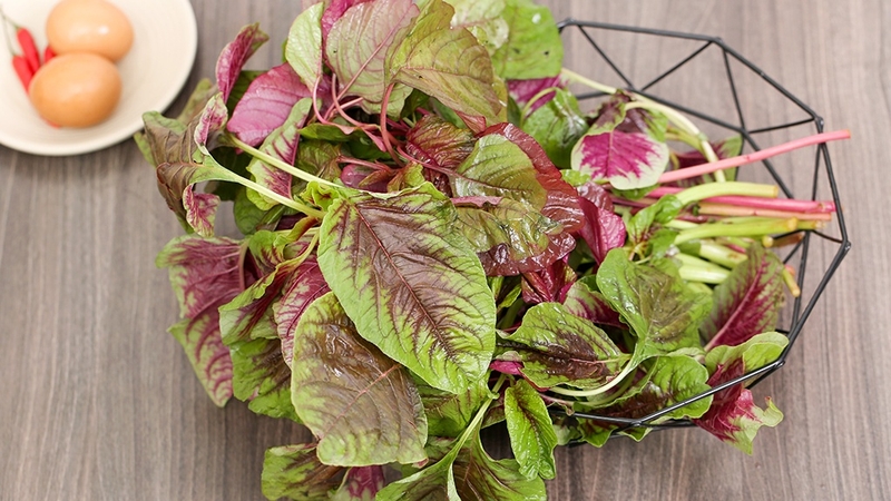 Rau dền giàu dưỡng chất tốt cho sức khỏe nhưng ai không nên ăn rau dền? 1