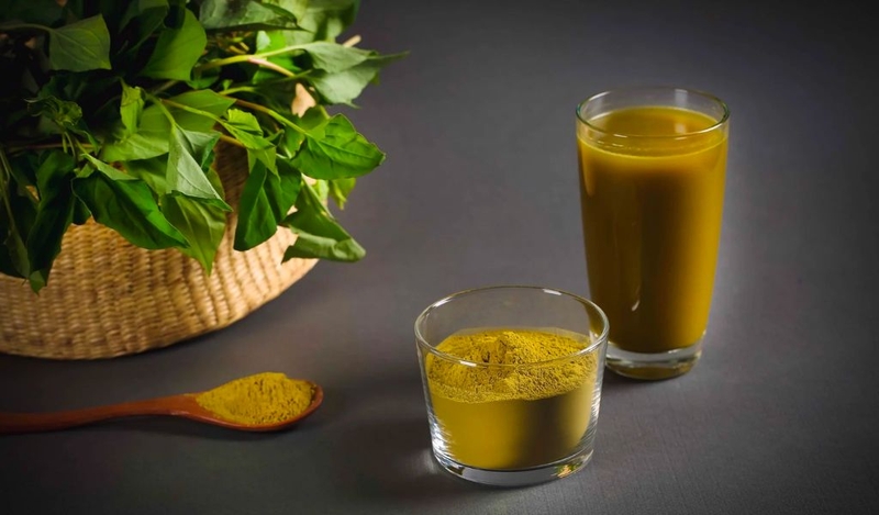 Rau diếp cá có tác dụng gì? Bài thuốc chữa bệnh từ loại rau này 2