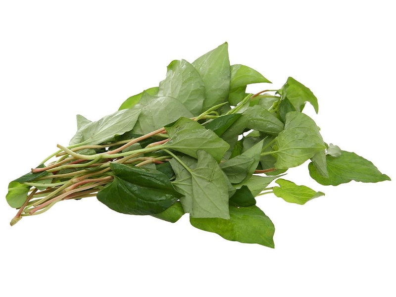 Bệnh rối loạn kinh nguyệt uống cây gì hiệu quả? 2