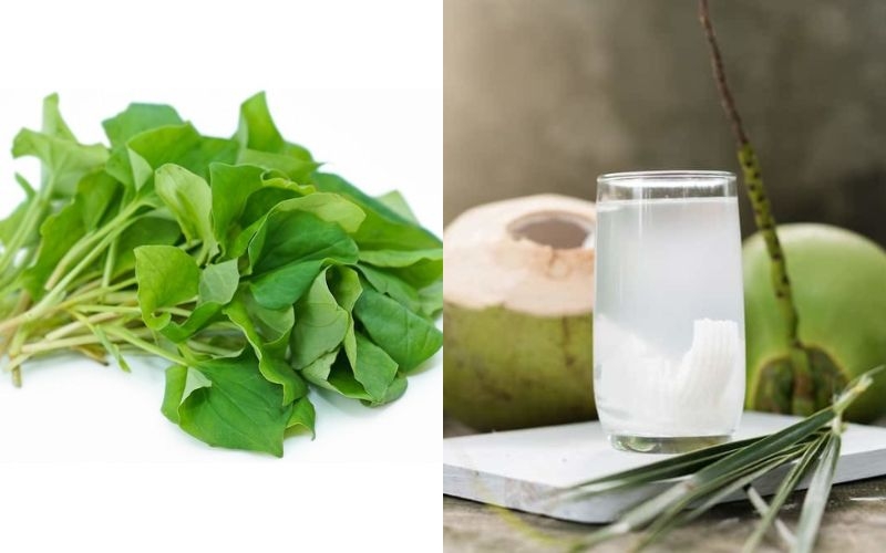Bạn có biết: Uống rau diếp cá với nước dừa có tác dụng gì? 3