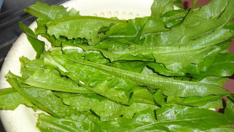 5 món ăn từ rau diếp thơm mang lại lợi ích không ngờ! 5