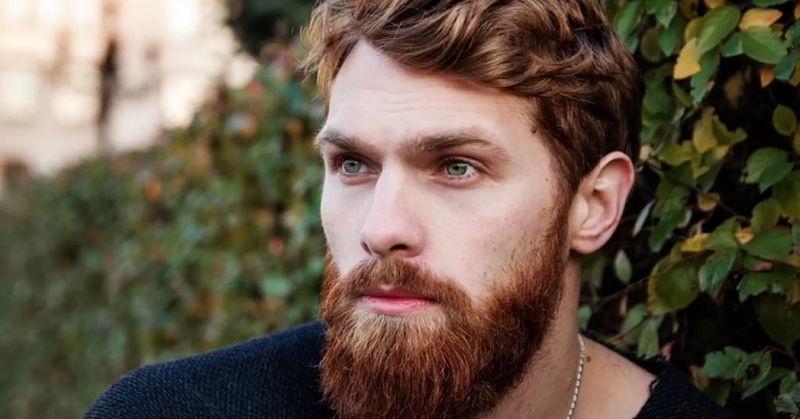 Râu là gì? Ý nghĩa của sự hình thành râu trên cơ thể con người 1