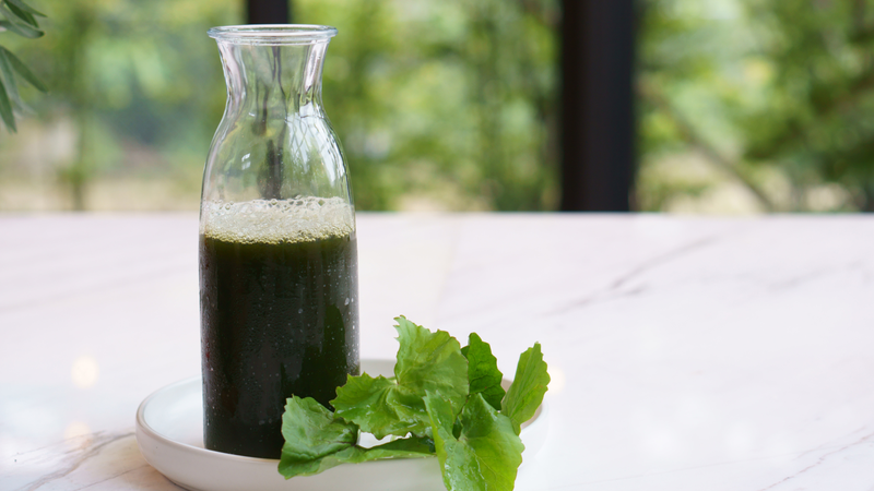 Rau má thường được dùng dưới dạng nước ép, nấu canh hoặc làm thuốc sắc