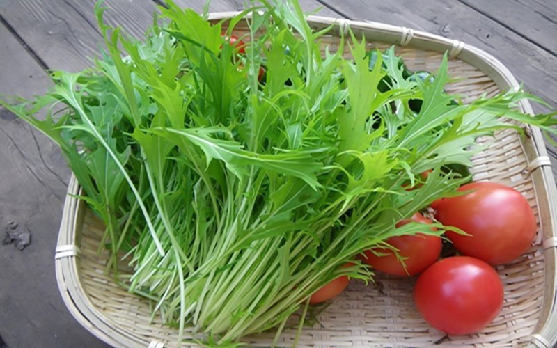 Rau mù tạt là gì? 5 lợi ích sức khỏe của rau mù tạt 1