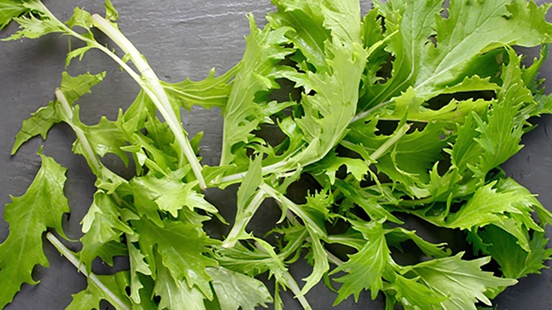 Rau mù tạt là gì? 5 lợi ích sức khỏe của rau mù tạt 3