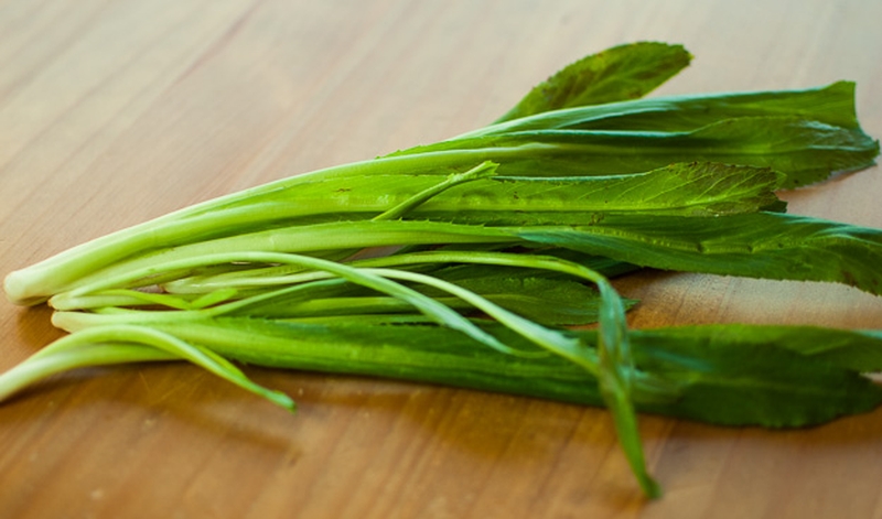 Rau mùi tàu chữa hôi miệng hiệu quả bất ngờ mà ai cũng cần phải biết 1