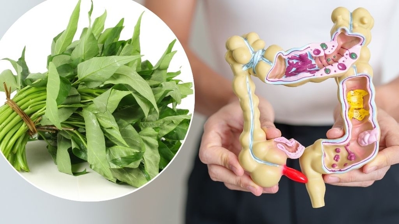 Rau muống: Dinh dưỡng, tác dụng, lưu ý khi ăn 3