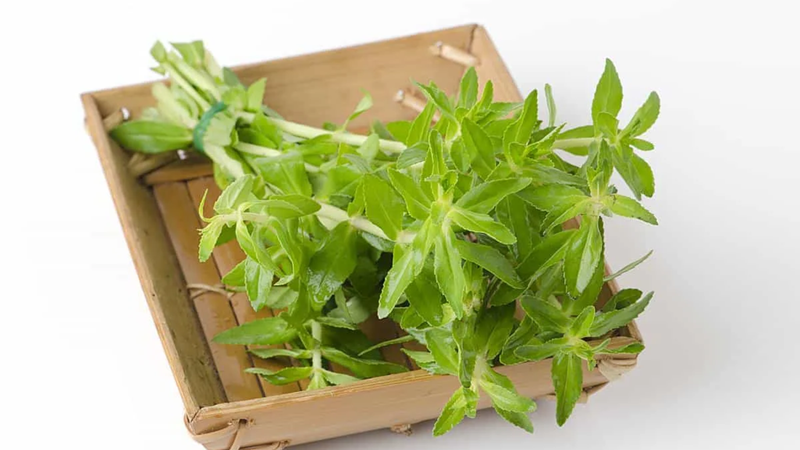 Rau ngổ với dừa có tác dụng gì? Lưu ý quan trọng khi sử dụng 1