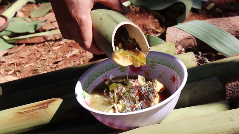 Rau nhíp: Hương vị ngọt lành từ vùng rừng núi 3