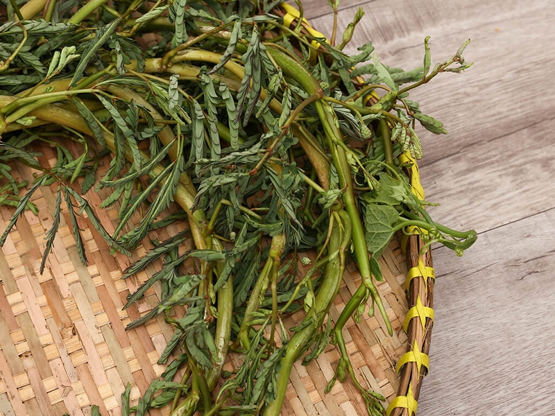 Rau nhút có trị huyết trắng được không? Các món ăn giúp trị bệnh huyết trắng 3