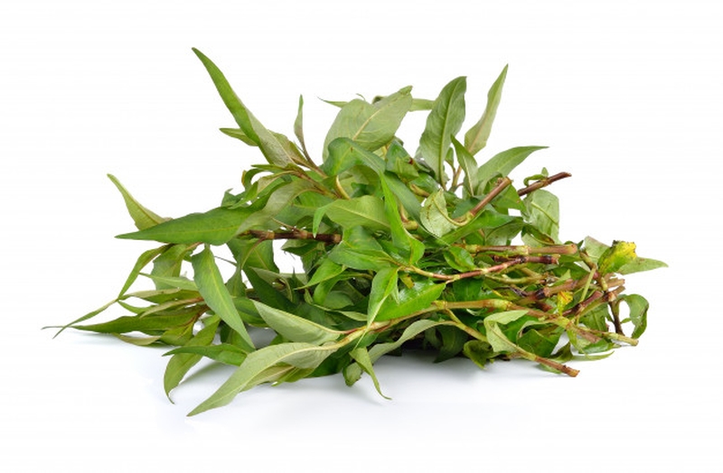 Rau sam có thể gây co bóp tử cung quá đà, tăng nguy cơ sảy thai