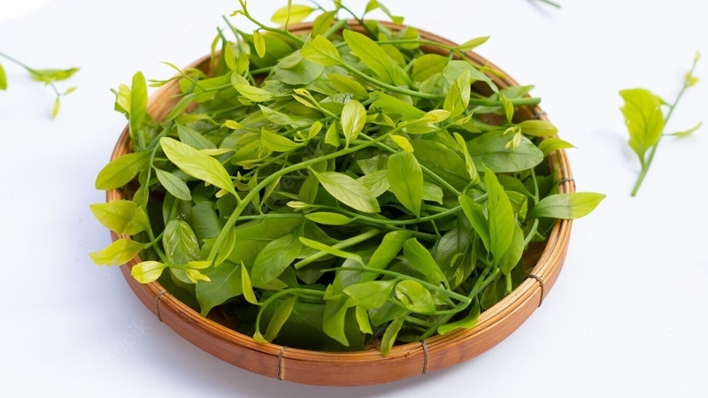 Món ngon từ rau sắng - vị thuốc trị bệnh tuyệt vời 2